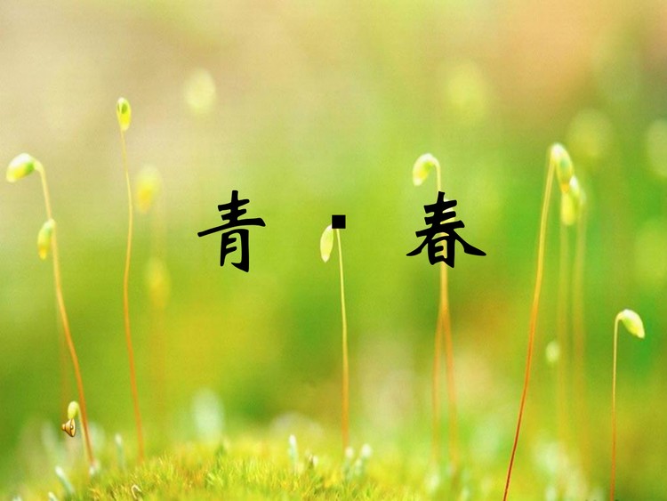 青春-PPT动画下载