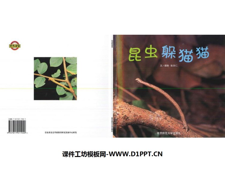 《昆虫躲猫猫》绘本故事PPT