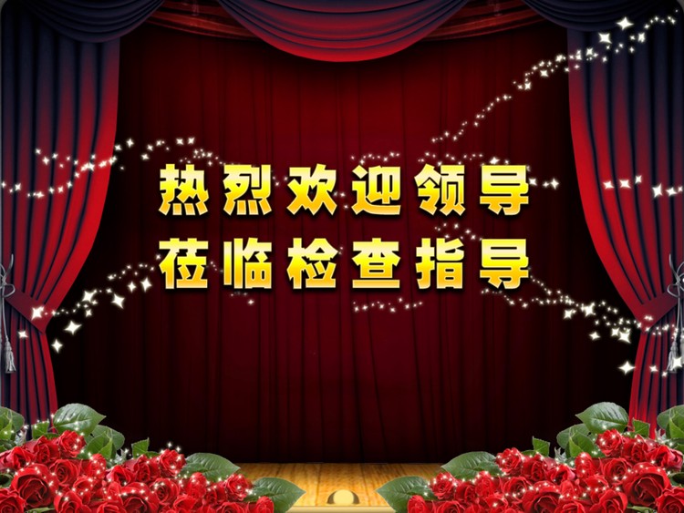 政府部门工作检查汇报PPT模板下载