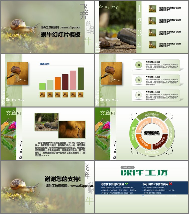 PPT模板-清新淡雅的蜗牛PowerPoint模板下载