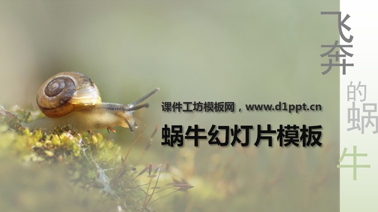 清新淡雅的蜗牛PowerPoint模板下载