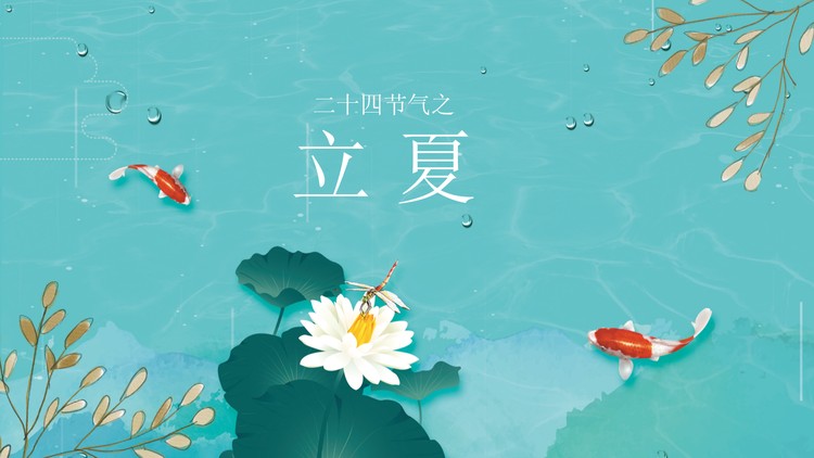 池塘鲤鱼荷花蜻蜓背景的立夏PPT模板