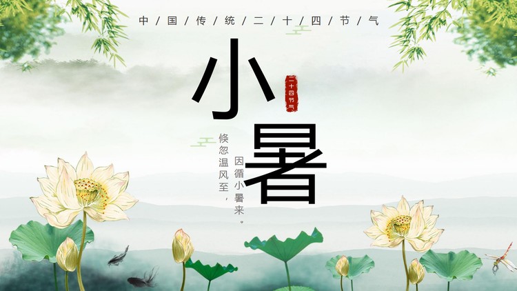 工笔荷花背景的小暑节气PPT模板