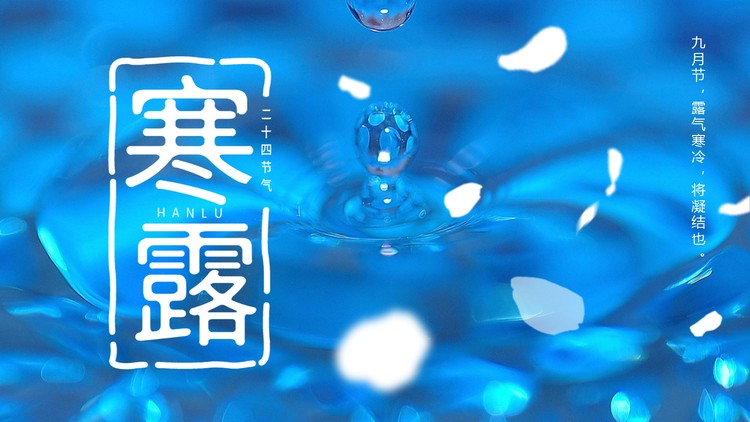 蓝色露珠背景的寒露节气介绍PPT模板