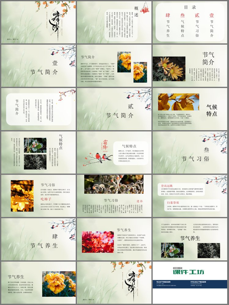 PPT模板-绿色清爽霜降节气介绍PPT模板