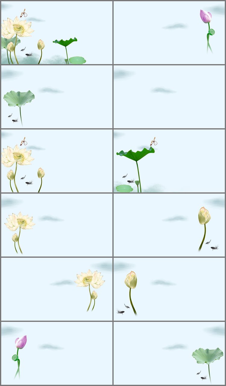 PPT模板-12张清新荷花荷叶PPT背景图片