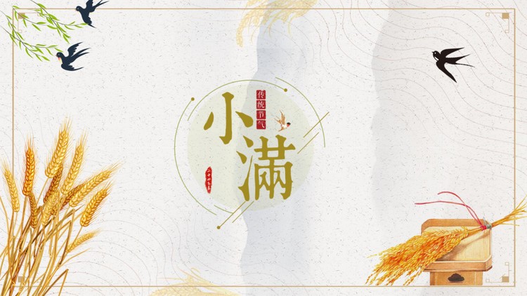 麦穗背景的小满节气介绍PPT下载