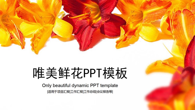 鲜艳花卉背景唯美PPT模板免费下载