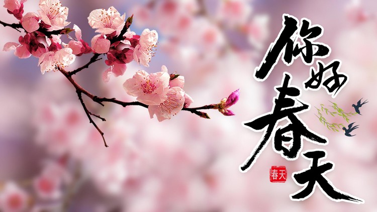 粉色桃花背景的你好春天PPT模板