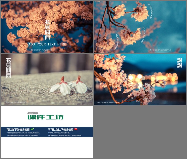PPT模板-一组樱花幻灯片背景图片下载