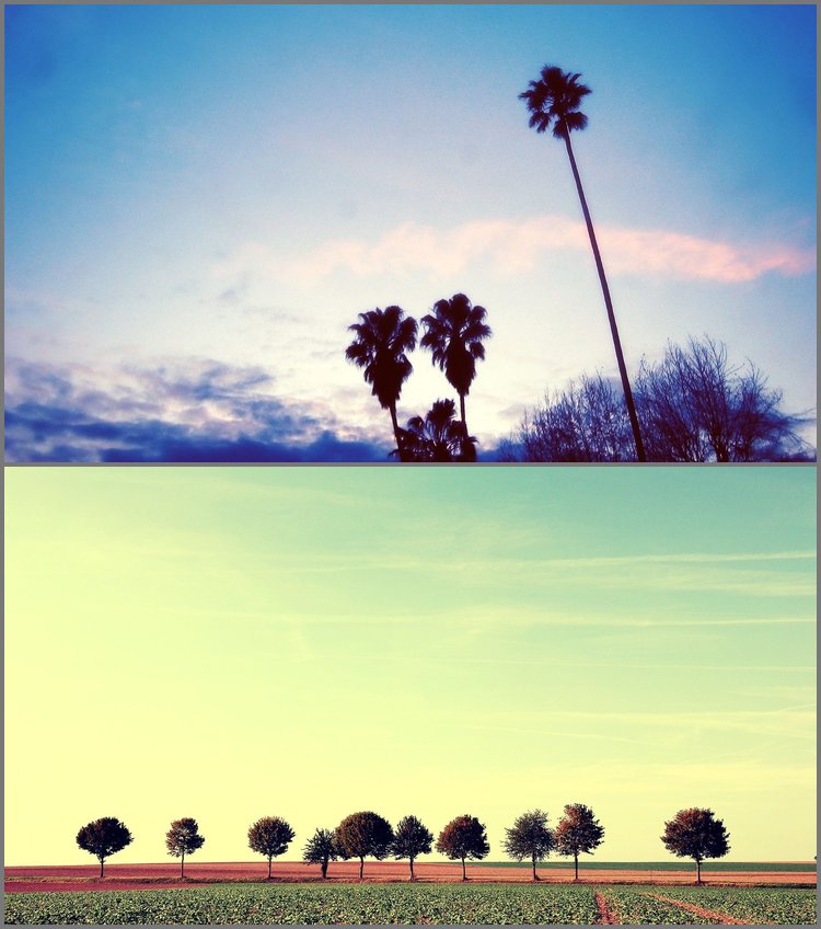 PPT模板-辽阔天空唯美树木自然PPT背景图片