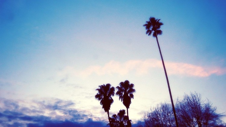 辽阔天空唯美树木自然PPT背景图片