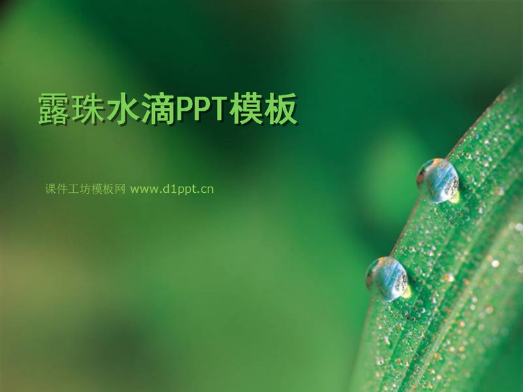 叶子上的露珠背景植物幻灯片模板下载