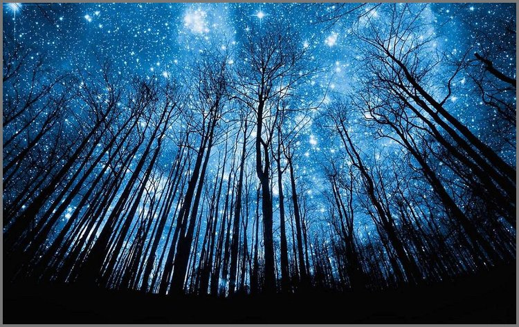 PPT模板-蓝色星空下幽深树林背影PPT背景图片