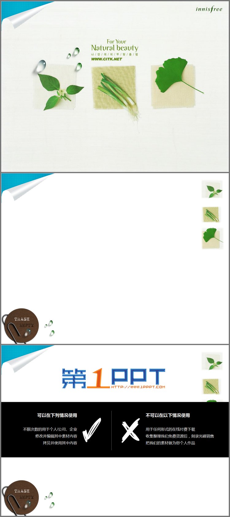 PPT模板-蔬菜植物背景的韩国PPT模板下载