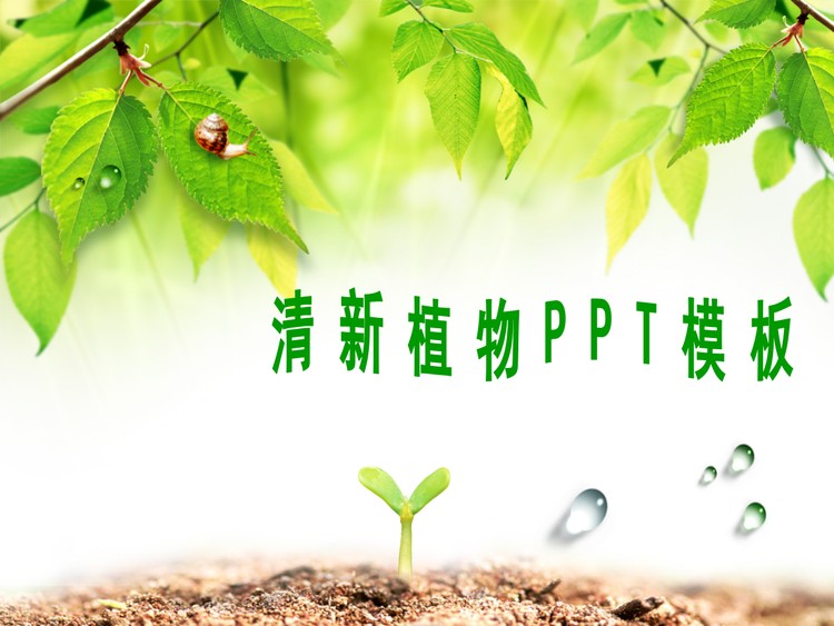 清新的树叶背景PPT模板下载