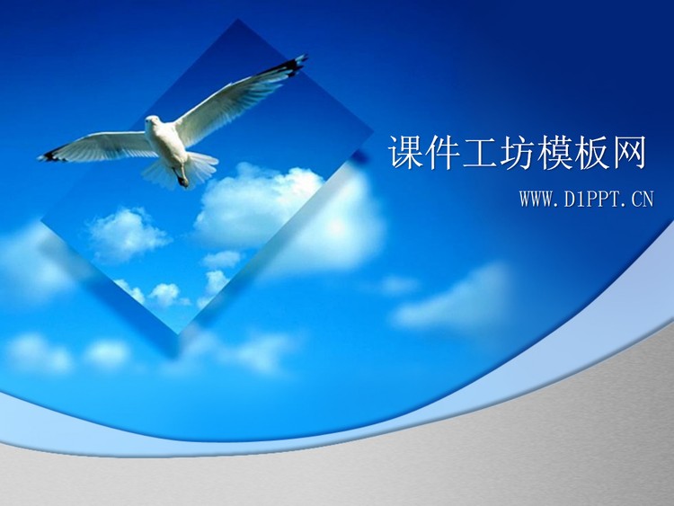 飞翔的海鸥背景PPT模板下载