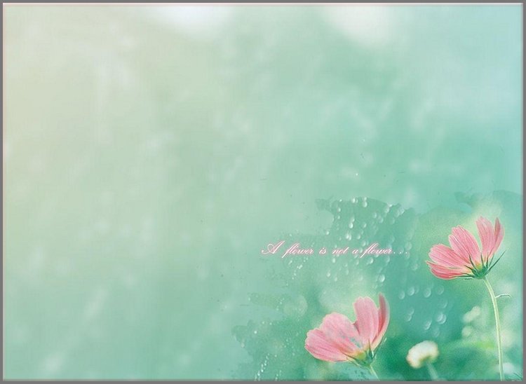 PPT模板-透明水珠小花翠绿唯美PPT背景图片