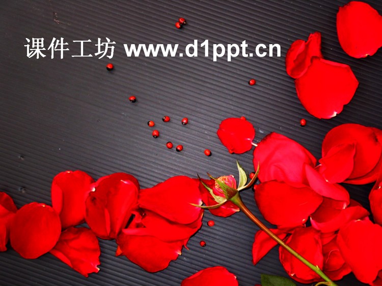 爱情红玫瑰PPT模板下载