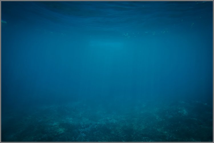 PPT模板-蓝色海底世界简洁PPT背景图片