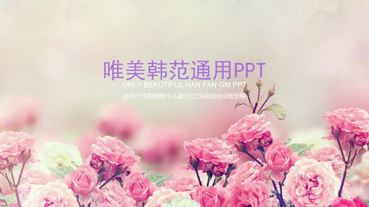 粉色蔷薇花背景的韩国PPT模板