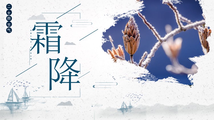 清爽白色霜降节气介绍PPT模板免费下载