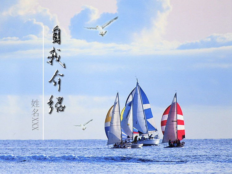 海鸥帆船背景的自我介绍PPT模板下载