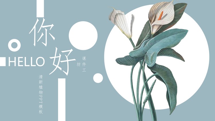 精美清新白掌植物背景的你好主题PPT模板
