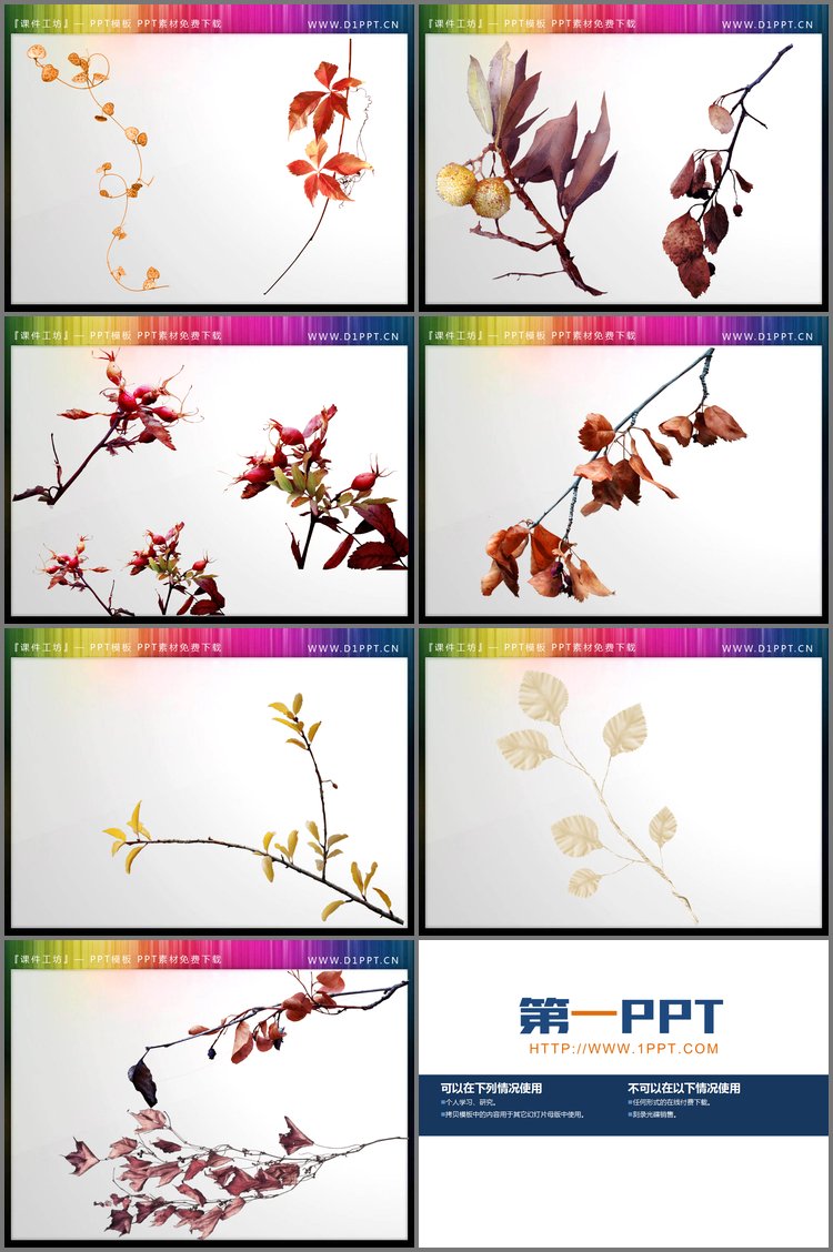 PPT模板-12张植物枝叶PPT插图素材