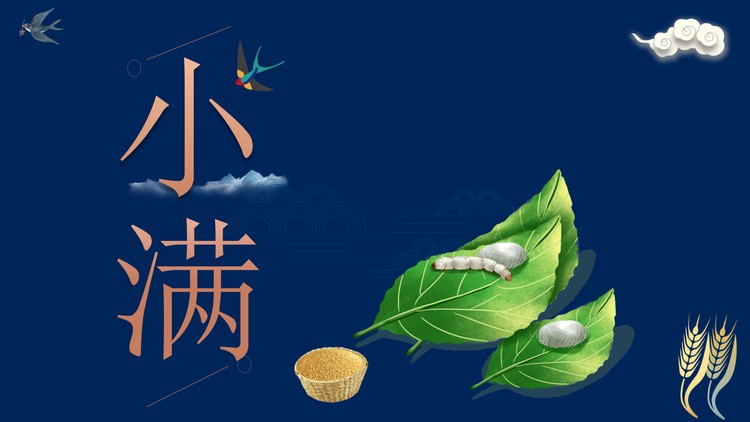 蓝色大气小满节气介绍PPT模板