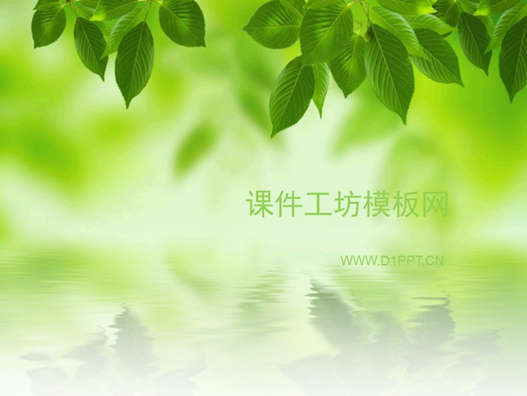 淡雅韩国树叶PPT模板下载