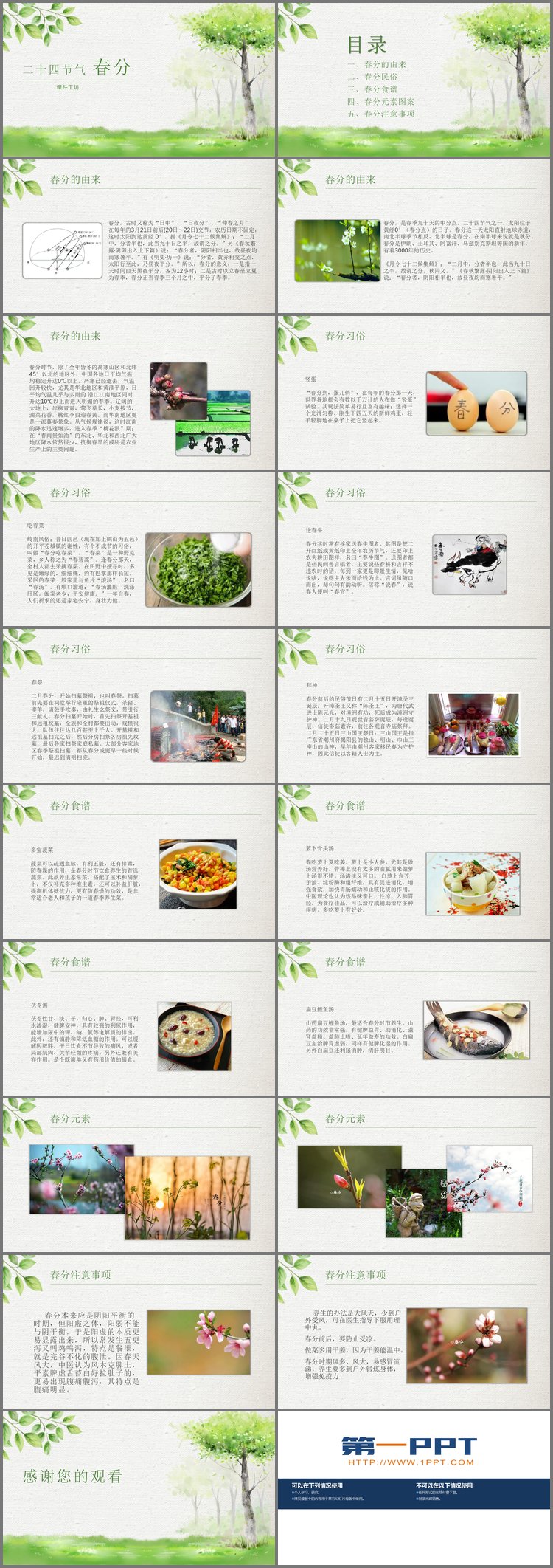 PPT模板-绿色淡雅树木叶子背景春分PPT模板