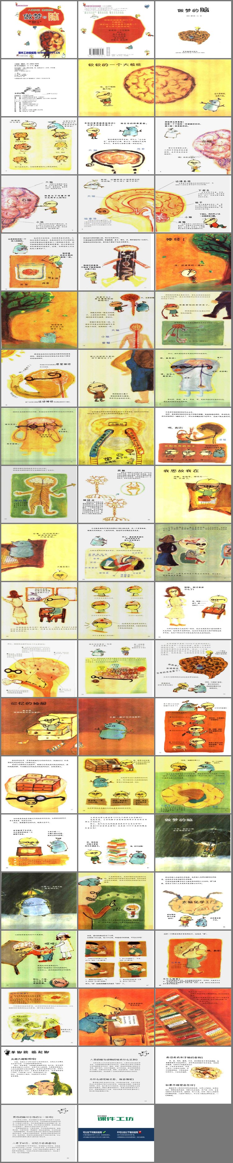 PPT模板-《做梦的脑》绘本故事PPT