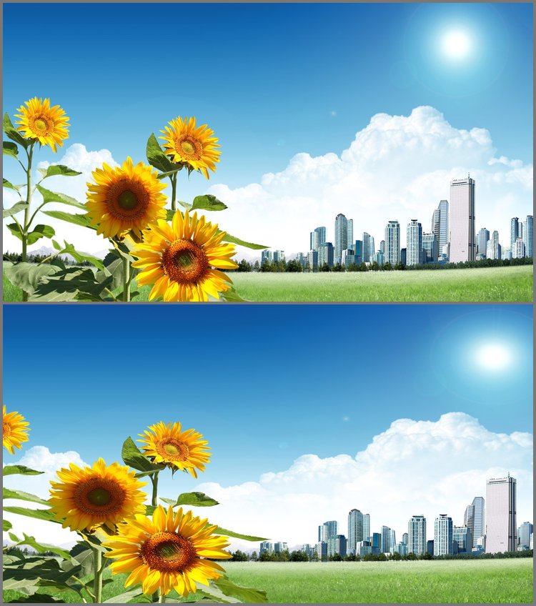 PPT模板-城市边缘的向日葵PowerPoint背景图片