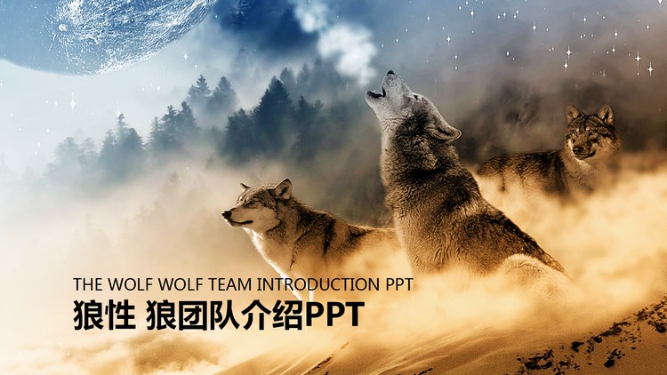 狼群背景的狼性团队文化PPT模板