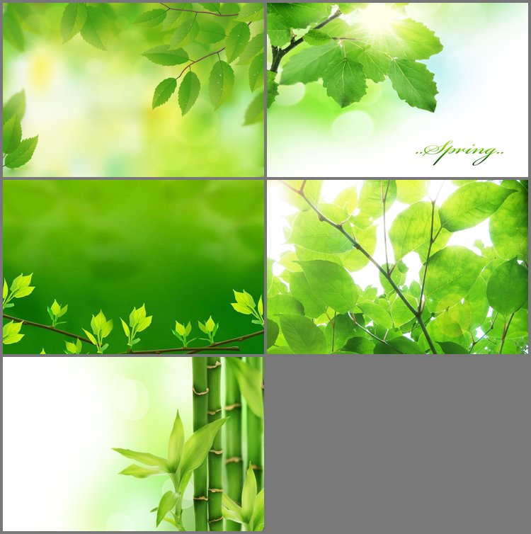 PPT模板-阳光枝叶植物PPT背景图片