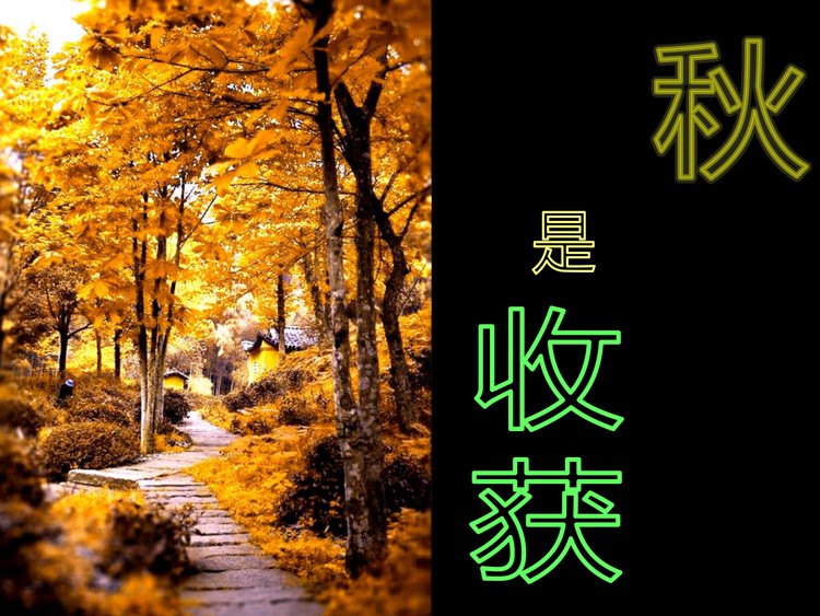 九华山旅游PPT模板