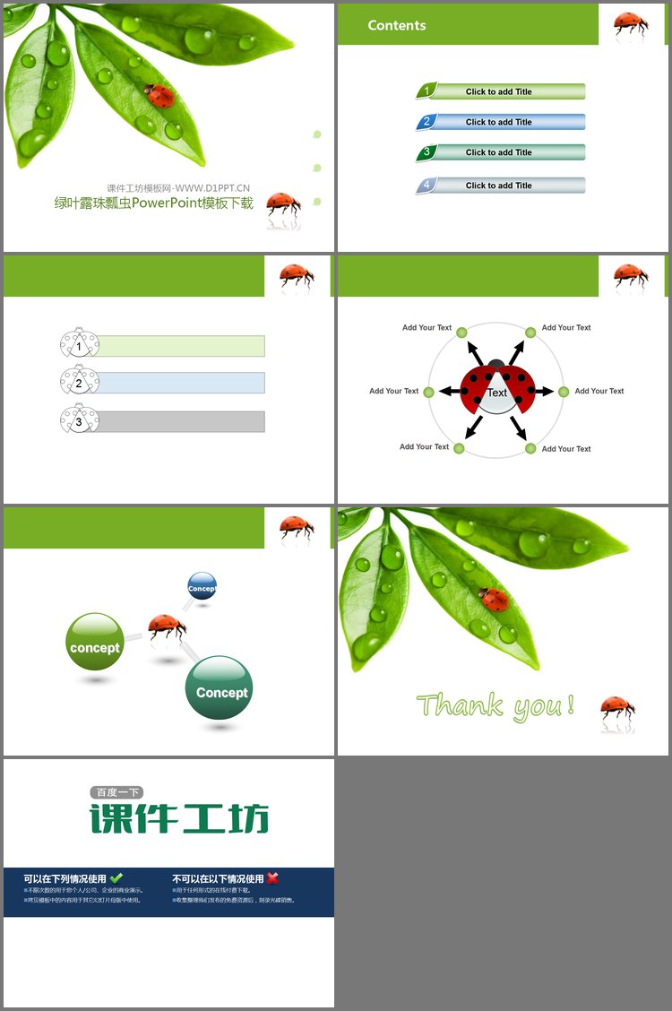 PPT模板-清新绿叶露珠七星瓢虫背景PPT模板