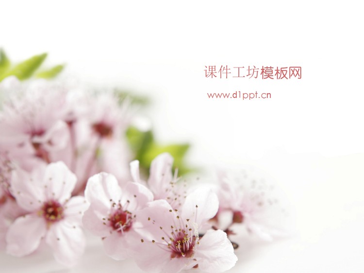 粉色桃花背景植物类幻灯片模板下载