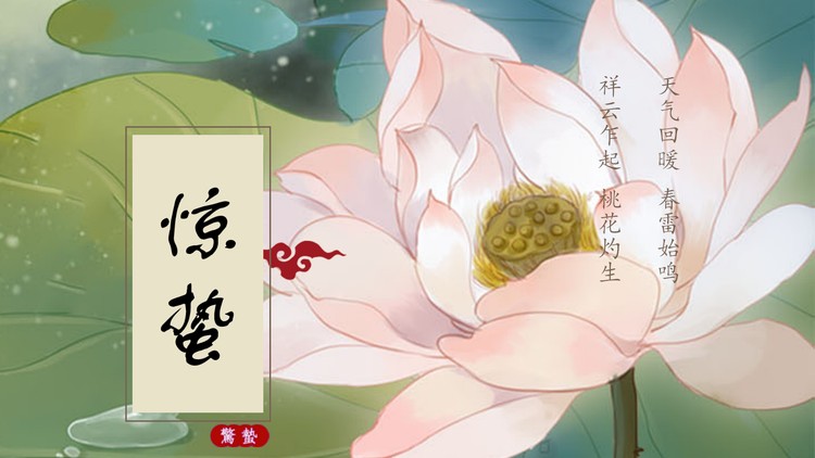 工笔荷花背景的惊蛰节气介绍PPT模板