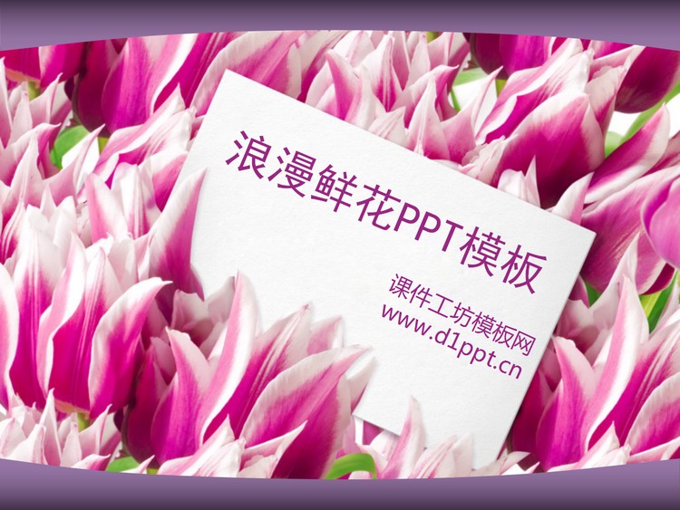 浪漫郁金香背景的爱情PowerPoint模板