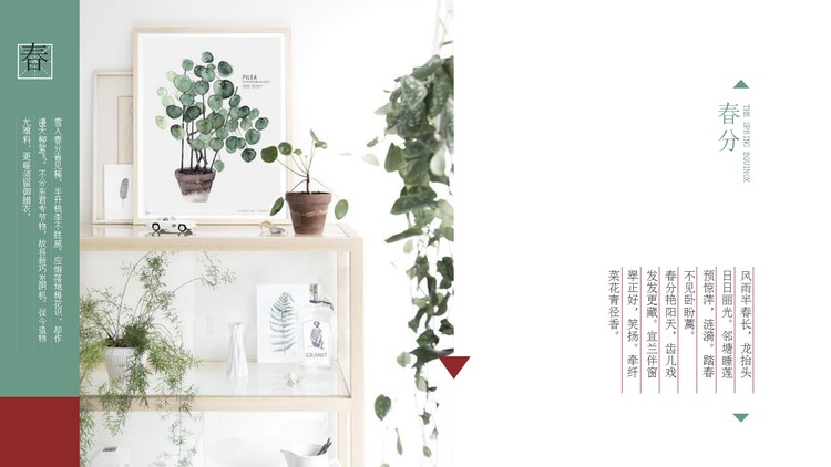 小清新植物画册背景春分PPT模板
