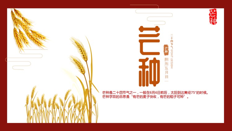 金色麦穗背景的芒种节气介绍PPT模板