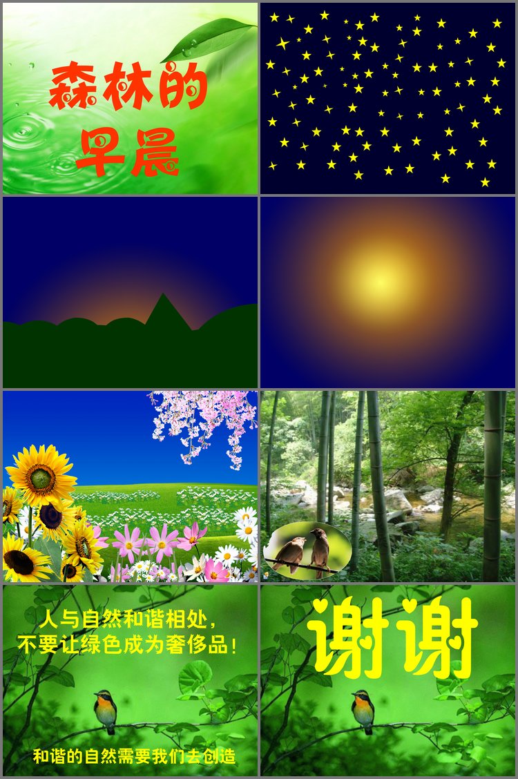 PPT模板-《森林的早晨》PPT动画下载