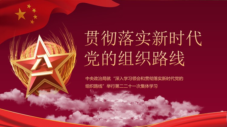 贯彻落实新时代党的组织路线PPT