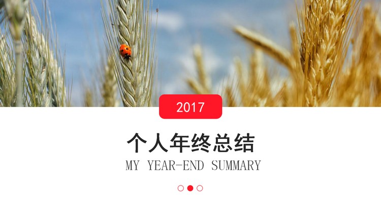 麦穗背景年终总结PPT模板下载