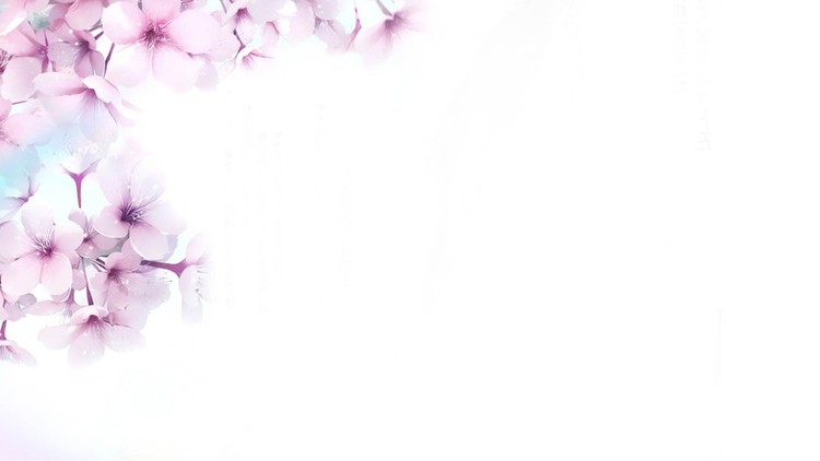 三张粉色唯美桃花PPT背景图片