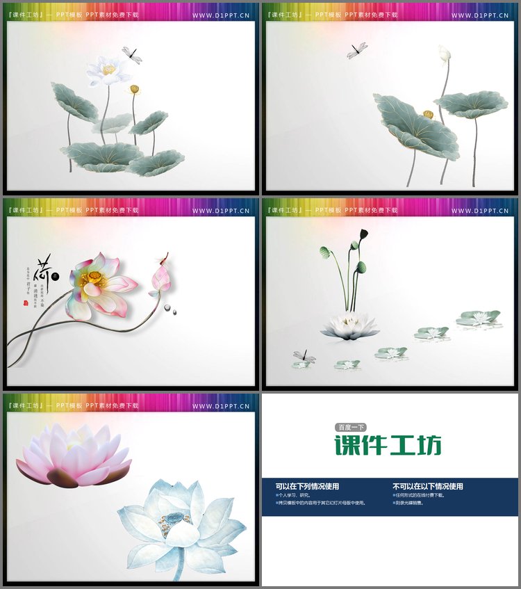 PPT模板-6套精美荷花PPT素材
