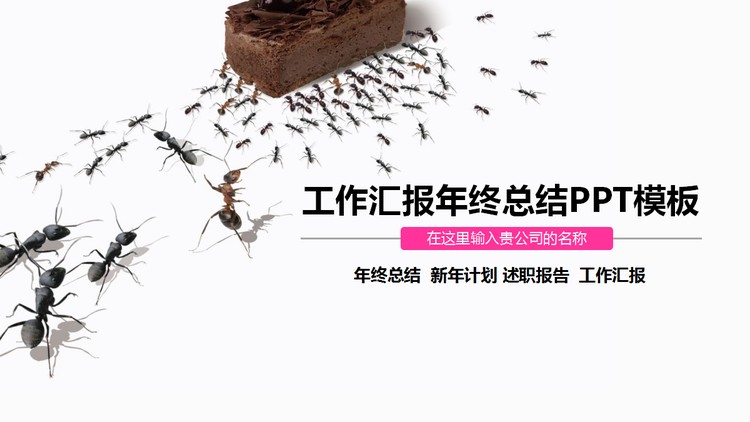 蚂蚁团队协作背景的工作汇报PPT模板