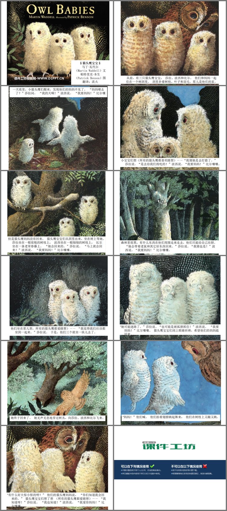 PPT模板-《猫头鹰宝宝》绘本故事PPT